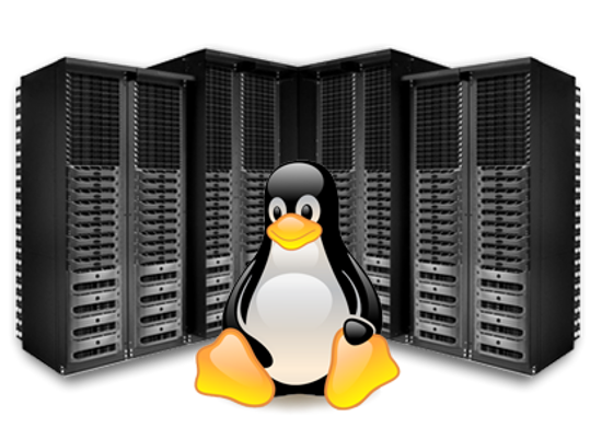 LINUX BİREYSEL 3 BAŞLANGIÇ resmi